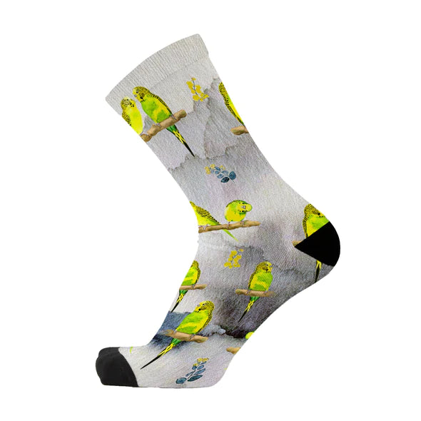 RF23045 Budgie Socks