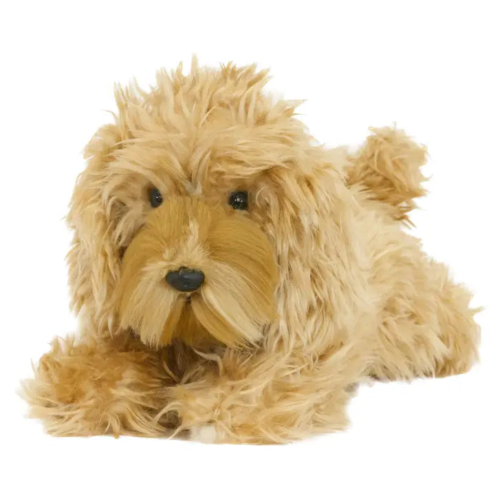 509/28 Ploto Oodle/Poodle-X Puppy | Red