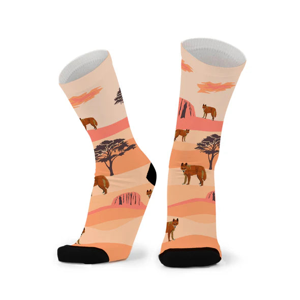 Dingo Bingo! Socks