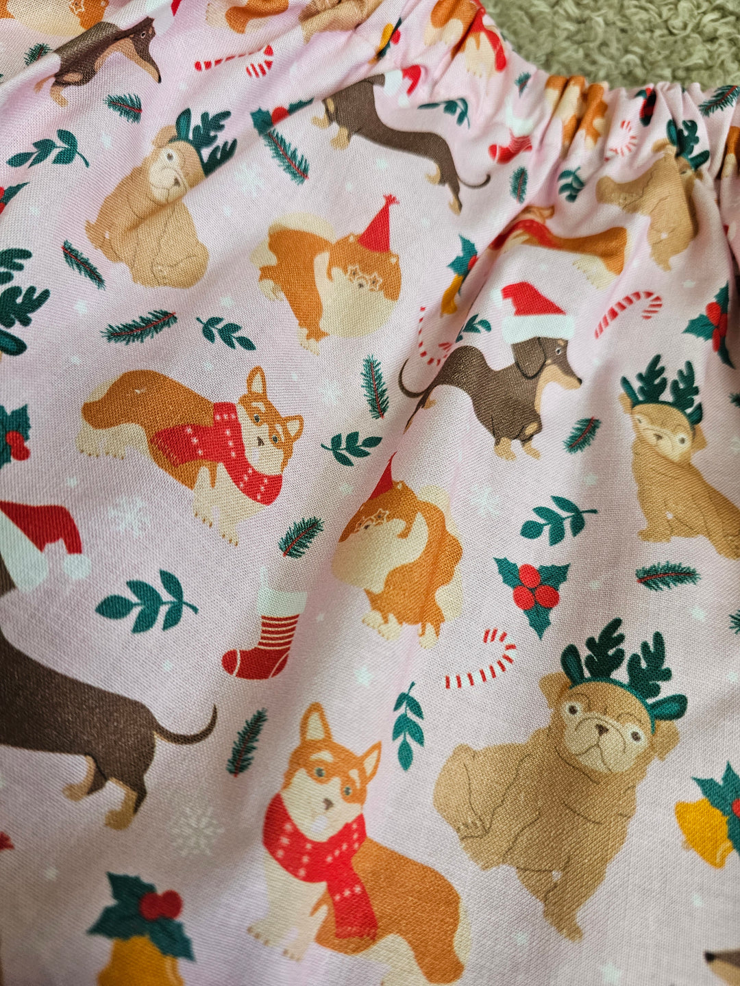 1431845 Santa Paws Skirt