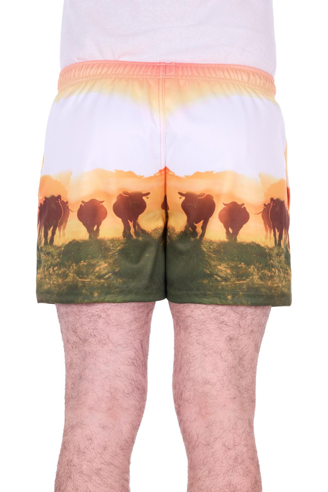 B6S1309659 Mens Orien Sports Short | Multi