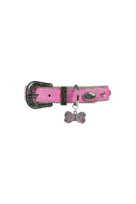P5S2946CLR Tilly Dog Collar
