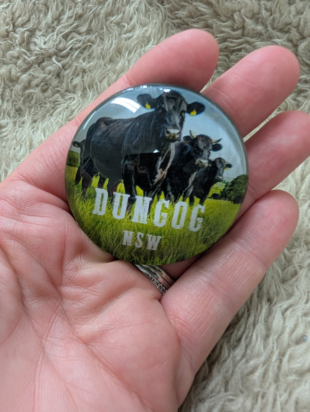 5cm Glass Dome Magnet Cow Pastures