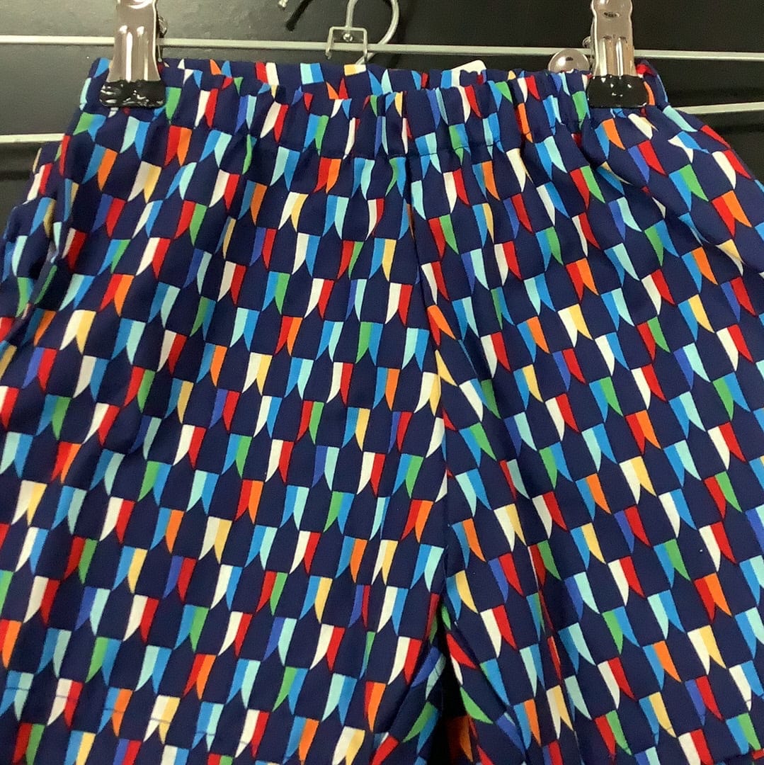 Hidden Valley Clothing SHORTS HVC Colourful Flag Shorts